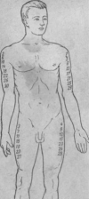 17.06
